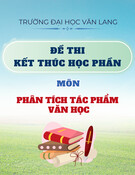 Đề thi kết thúc học phần học kì 1 môn Phân tích tác phẩm văn học năm 2024-2025