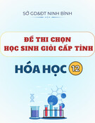 Đề thi chọn học sinh giỏi cấp tỉnh môn Hóa học lớp 12 năm 2024-2025 - Sở GD&ĐT Ninh Bình