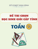 Đề thi chọn học sinh giỏi cấp tỉnh môn Toán lớp 12 năm 2024-2025 - Sở GD&ĐT Ninh Bình