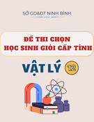 Đề thi chọn học sinh giỏi cấp tỉnh môn Vật lý lớp 12 năm 2024-2025 - Sở GD&ĐT Ninh Bình