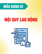 Mẫu Đăng ký nội quy lao động