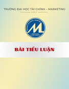 Bài tiểu luận: Tổng quan về quản trị tài chính doanh nghiệp