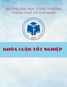 Khóa luận tốt nghiệp: Phát triển cho vay khách hàng cá nhân tại Ngân hàng Thương mại Cổ phần Quân đội - Chi nhánh Tân Hương