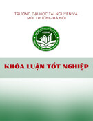 Khóa luận tốt nghiệp: Thực trạng công tác đào tạo và phát triển nguồn nhân lực tại Công ty Cổ phần Vaadoo Việt Nam