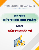 Đề thi kết thúc học phần học kì 1 môn Đầu tư quốc tế năm 2024-2025 có đáp án (Đề 2)