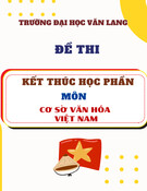 Đề thi kết thúc học phần học kì 1 môn Cơ sở văn hóa Việt Nam năm 2024-2025 (Đề 1)