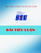 Bài tiểu luận: Phân tích hoạt động Marketing của sản phẩm bột giặt Aba mà doanh nghiệp Đại Việt Hương đang thực hiện