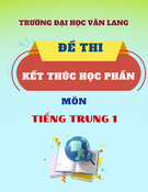 Đề thi kết thúc học phần học kì 2 môn Tiếng Trung 1 năm 2024-2025 có đáp án (Đề 2)