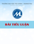 Bài tiểu luận: Phân tích hoạt động quản trị kinh doanh quốc tế của Honda khi xâm nhập thị trường Việt Nam