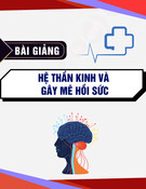 Bài giảng Hệ thần kinh và gây mê hồi sức