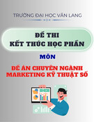 Đề thi kết thúc học phần học kì 2 môn Đề án chuyên ngành Marketing Kỹ thuật số năm 2024-2025