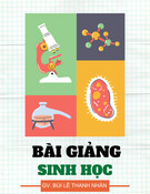 Bài giảng Sinh học - Chương 4: Đột biến nhiễm sắc thể