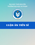 Luận án Tiến sĩ: Dạy học chủ đề phương trình và bất phương trình ở trường trung học phổ thông nước Cộng hòa Dân chủ Nhân dân Lào theo hướng phát triển tư duy phản biện và tư duy sáng tạo cho học sinh