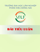 Bài tiểu luận: Bệnh Leptospirosis