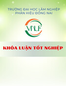 Khóa luận tốt nghiệp: Bệnh Leptospirosis