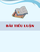 Bài tiểu luận: Ứng dụng kỹ thuật trao đổi ion trong màng thẩm tách khuếch tán