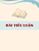Bài tiểu luận: Ứng dụng kỹ thuật trao đổi ion trong luyện kim