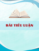 Bài tiểu luận: Ứng dụng kỹ thuật trao đổi ion trong điện phân