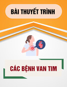 Bài thuyết trình: Các bệnh van tim