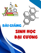 Bài giảng Sinh học đại cương: Phần 1 - Đại cương về tế bào