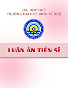 Luận án Tiến sĩ: Hiệu quả kinh tế và những rủi ro trong sản xuất hồ tiêu trên địa bàn tỉnh Quảng Trị