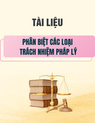 Tài liệu Phân biệt các loại trách nhiệm pháp lý