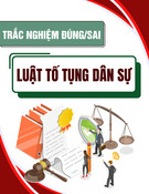 Bộ câu hỏi trắc nghiệm Đúng Sai học phần Luật Tố tụng dân sự