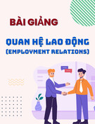 Lecture Employment relations: Chapter 0 - Introduction