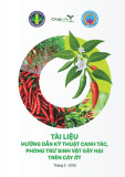 Tài liệu Hướng dẫn kỹ thuật canh tác, phòng trừ sinh vật gây hại trên cây ớt