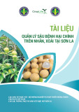 Tài liệu Quản lý sâu bệnh hại chính trên nhãn, xoài tại Sơn La