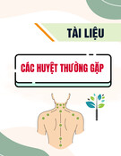 Các huyệt thường gặp: Tài liệu hướng dẫn chi tiết