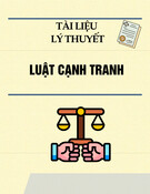 Tài liệu Lý thuyết Luật cạnh tranh