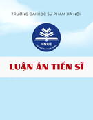 Bài toán xác định tham số nguồn đối với phương trình dị thường khuếch tán nửa tuyến tính: Luận án Tiến sĩ