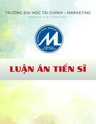 Luận án Tiến sĩ: Dịch vụ tư vấn đầu tư chứng khoán và kết quả đầu tư chứng khoán – Nghiên cứu tác động của hiểu biết tài chính và thiên lệch hành vi