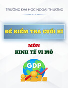 Bài Kiểm Tra Kinh Tế Vi Mô Cuối Kì Đại Học Ngoại Thương (Đề 2)