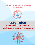 Giáo trình Giải phẫu - Sinh lý Y học cổ truyền Trung cấp - Trường Trung cấp Bách khoa Bình Dương