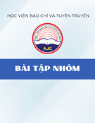 Nhận diện và phân tích tác phẩm báo chí thông tấn trên báo in, báo mạng điện tử: Bài tập nhóm