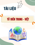 Từ điển Trung - Việt: Tài liệu đầy đủ, chuẩn xác nhất
