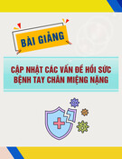 Bài giảng Cập nhật vấn đề hồi sức bệnh tay chân miệng nặng [mới nhất]