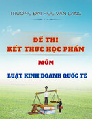 Đề thi Luật Kinh doanh quốc tế học kì 2 năm 2024-2025 có đáp án