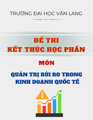 Đề thi Quản trị rủi ro trong kinh doanh quốc tế (có đáp án): Học kì 1 năm 2024-2025