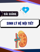 Bài giảng Sinh lý hệ nội tiết ThS. BS. Lê Quốc Tuấn