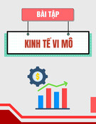 Bài tập Kinh tế vi mô kèm đáp án [chuẩn nhất]
