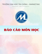 Nghiên cứu các nhân tố ảnh hưởng ý định sử dụng dịch vụ xe điện Xanh SM của sinh viên tại TP.HCM - Báo cáo môn học