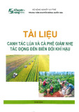 Tài liệu canh tác lúa, cà phê giảm nhẹ tác động biến đổi khí hậu