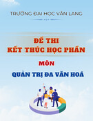 Đề thi Quản trị đa văn hoá học kì 1 năm 2024-2025: Đề thi kết thúc học phần