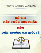 Đề thi Luật Thương mại quốc tế học kì 1 năm 2024-2025 có đáp án (Đề 2) - Kết thúc học phần