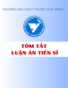 Nhiễm vi rút viêm gan B ở người 20-60 tuổi: Thực trạng và hiệu quả biện pháp can thiệp tại cộng đồng miền núi, ven biển tỉnh Quảng Bình (Luận án Tiến sĩ)
