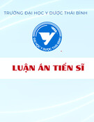 Nhiễm vi rút viêm gan B: Thực trạng ở người 20-60 tuổi và hiệu quả biện pháp can thiệp tại cộng đồng miền núi, ven biển tỉnh Quảng Bình (Luận án Tiến sĩ)