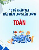 Tuyển Tập 10 Đề Toán Khảo Sát Đầu Năm Lớp 5 Lên Lớp 6: Chuẩn Nhất